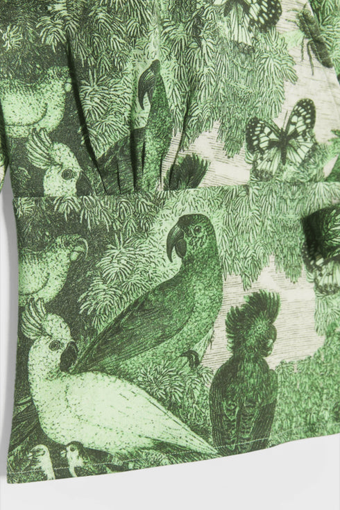Parrot Top